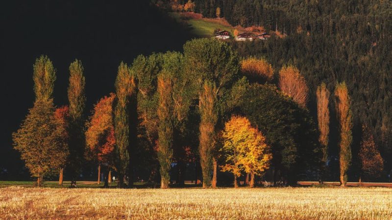 Строительство дома с нуля по льготной ипотеке в Пушкино