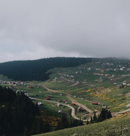 Дом из бруса в Одинцово: кровля